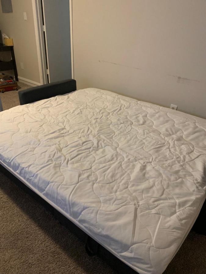 Cozy - Away From With Free Parking Gasthuis